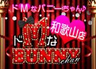 ドMなバニーちゃん和歌山店
